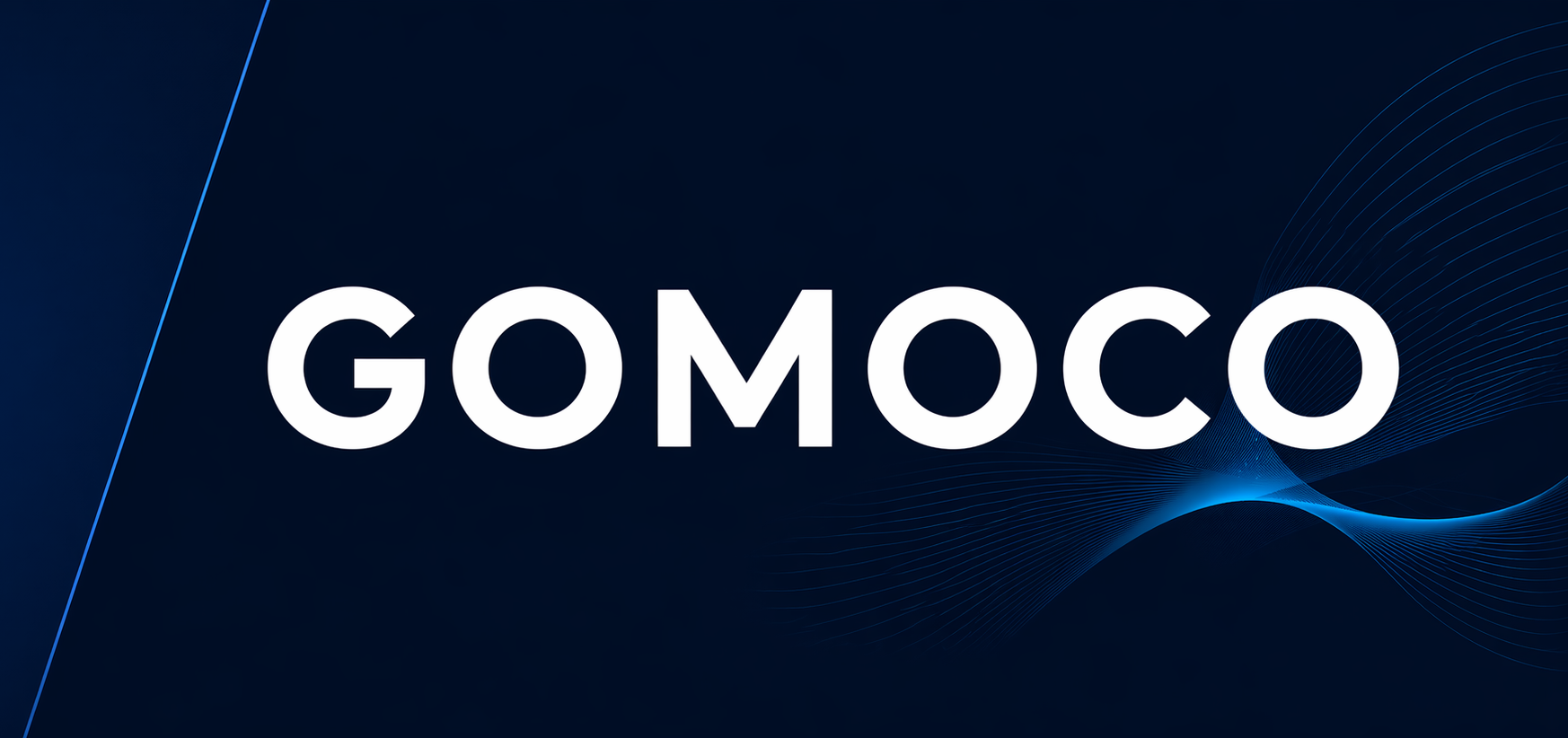 Gomoco GmbH – Enterprise IT Program Leadership | Complex Program Delivery | System Integration | Stabilization & Turnaround